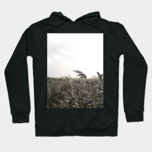 Fishbourne Reeds - a windy day on the coast near Chichester, Sussex, UK Hoodie